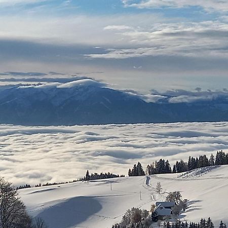 Almchalet Schuster Βίλα Diex Εξωτερικό φωτογραφία