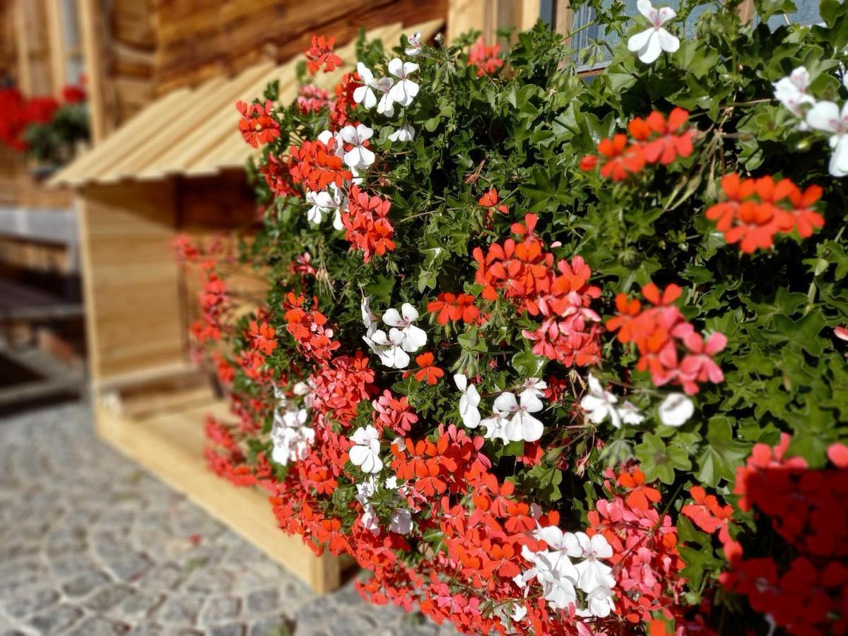 Almchalet Schuster Diex Εξωτερικό φωτογραφία